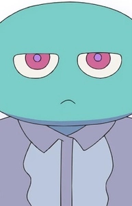 Mucchi